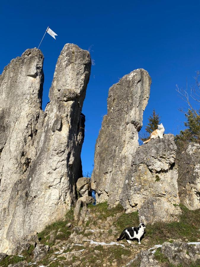 Gasthof Zur Saegemuehle Hiltpoltstein Kültér fotó