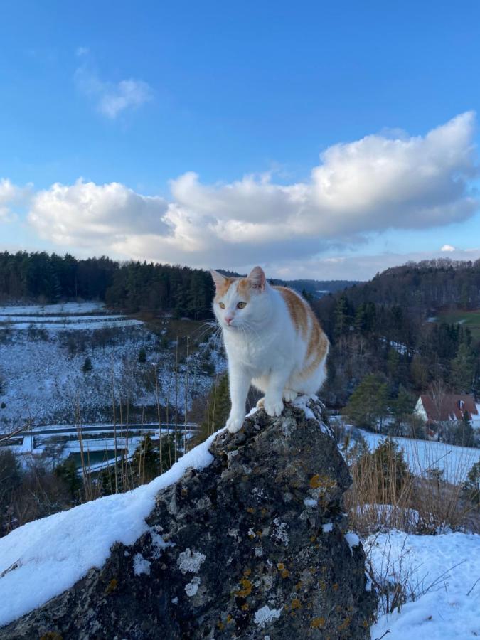 Gasthof Zur Saegemuehle Hiltpoltstein Kültér fotó
